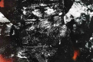 Lep Boglarka高级特殊面料印花目录图册 纺织服装面料印花设计