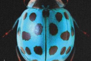 The Moodboarders 艺术家设计师灵感情绪版灵感图片素材