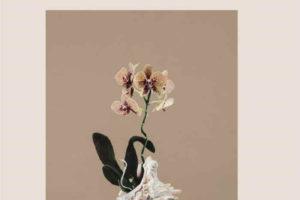 艺术家Hannah Murray︰ Entropicana 个人作品展 创意植物拼贴艺术