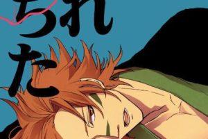 ［战国basara］真田主从同人本子合集18本